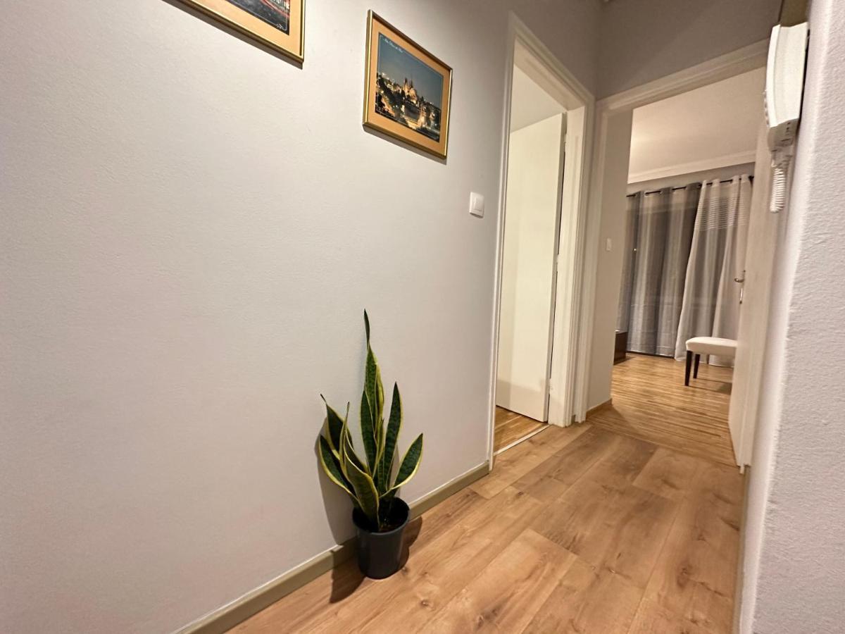 Ano Patisia Cosy Apartment II Athén Kültér fotó
